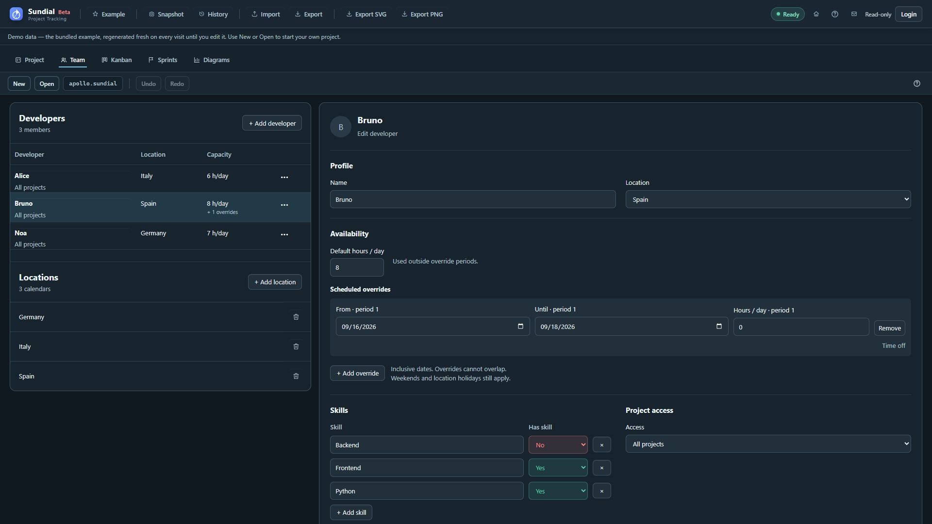 Developer Audit section below Advanced settings; the fresh Example has no committed profile edits.